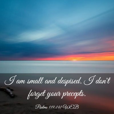 Picture 03 - Psalms 119:141 WEB - I am small and despised. I don't forget your - Bible Verse Picture