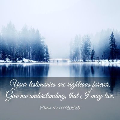 Picture 03 - Psalms 119:144 WEB - Your testimonies are righteous forever. Give me - Bible Verse Picture