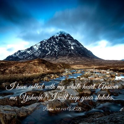 Picture 03 - Psalms 119:145 WEB - I have called with my whole heart. Answer me, - Bible Verse Picture