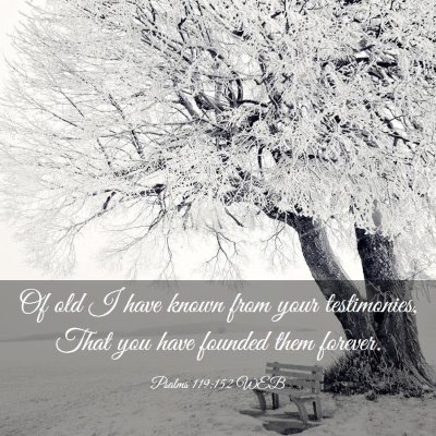 Picture 03 - Psalms 119:152 WEB - Of old I have known from your testimonies, That - Bible Verse Picture