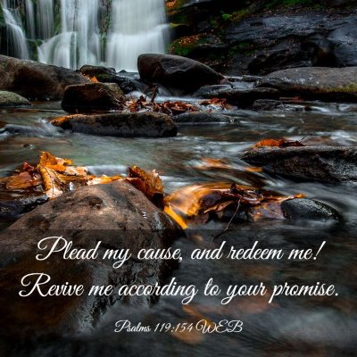 Picture 03 - Psalms 119:154 WEB - Plead my cause, and redeem me! Revive me - Bible Verse Picture