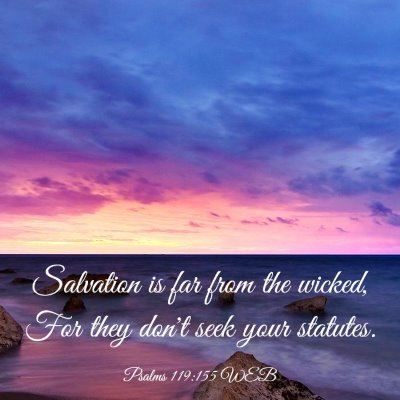 Picture 03 - Psalms 119:155 WEB - Salvation is far from the wicked, For they don't - Bible Verse Picture