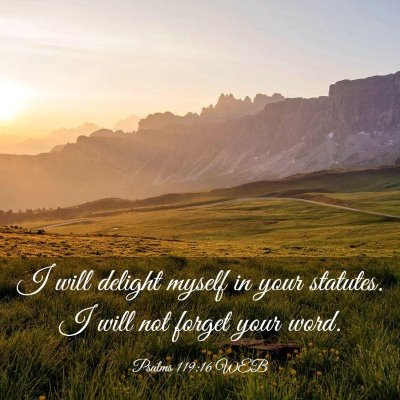 Picture 03 - Psalms 119:16 WEB - I will delight myself in your statutes. I will - Bible Verse Picture