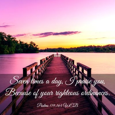Picture 03 - Psalms 119:164 WEB - Seven times a day, I praise you, Because of your - Bible Verse Picture