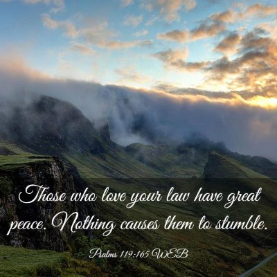 Picture 03 - Psalms 119:165 WEB - Those who love your law have great peace. Nothing - Bible Verse Picture