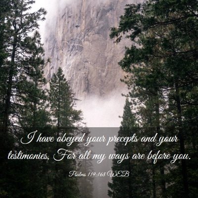 Picture 03 - Psalms 119:168 WEB - I have obeyed your precepts and your testimonies, - Bible Verse Picture