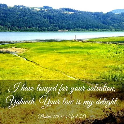 Picture 03 - Psalms 119:174 WEB - I have longed for your salvation, Yahweh. Your - Bible Verse Picture