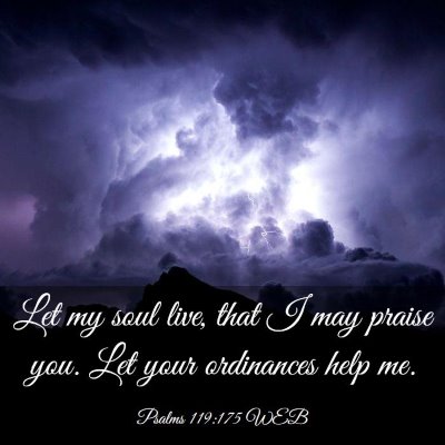 Picture 03 - Psalms 119:175 WEB - Let my soul live, that I may praise you. Let your - Bible Verse Picture