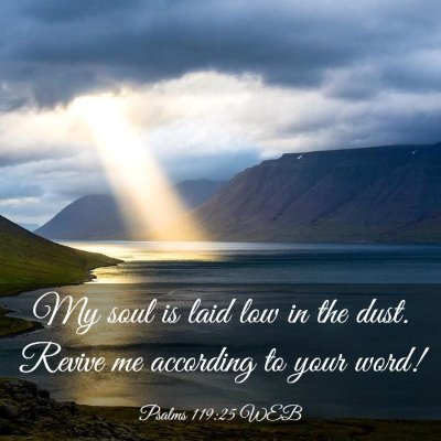 Picture 03 - Psalms 119:25 WEB - My soul is laid low in the dust. Revive me - Bible Verse Picture