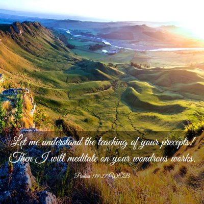 Picture 03 - Psalms 119:27 WEB - Let me understand the teaching of your precepts! - Bible Verse Picture