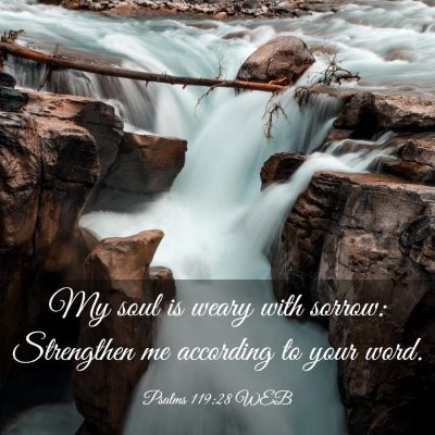 Picture 03 - Psalms 119:28 WEB - My soul is weary with sorrow: Strengthen me - Bible Verse Picture
