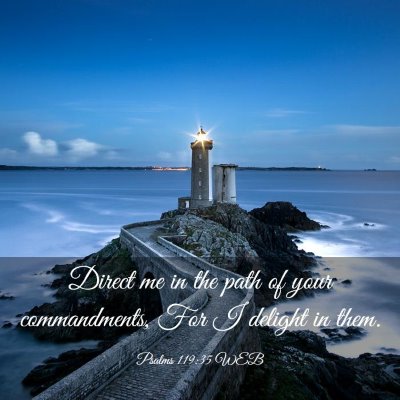 Picture 03 - Psalms 119:35 WEB - Direct me in the path of your commandments, For I - Bible Verse Picture
