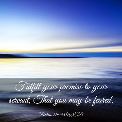 Picture 03 - Psalms 119:38 WEB - Fulfill your promise to your servant, That you - Bible Verse Picture