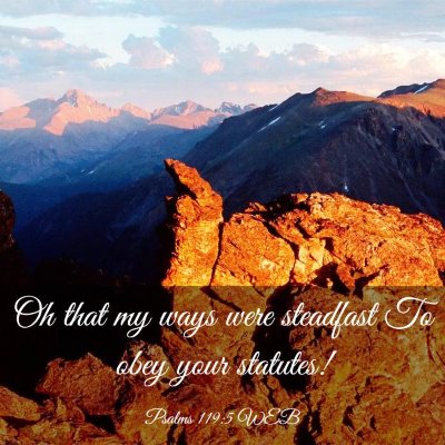Picture 03 - Psalms 119:5 WEB - Oh that my ways were steadfast To obey your - Bible Verse Picture
