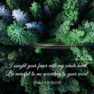Picture 03 - Psalms 119:58 WEB - I sought your favor with my whole heart. Be - Bible Verse Picture