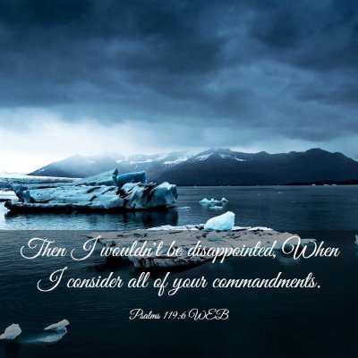 Picture 03 - Psalms 119:6 WEB - Then I wouldn't be disappointed, When I consider - Bible Verse Picture