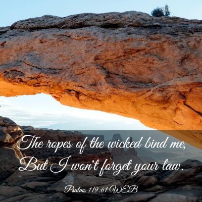 Picture 03 - Psalms 119:61 WEB - The ropes of the wicked bind me, But I won't - Bible Verse Picture