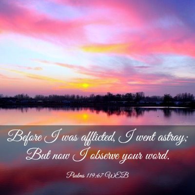 Picture 03 - Psalms 119:67 WEB - Before I was afflicted, I went astray; But now I - Bible Verse Picture