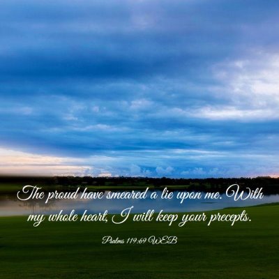 Picture 03 - Psalms 119:69 WEB - The proud have smeared a lie upon me. With my - Bible Verse Picture