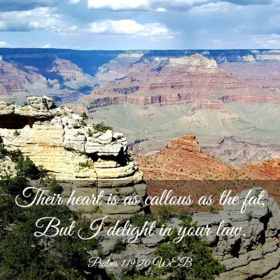 Picture 03 - Psalms 119:70 WEB - Their heart is as callous as the fat, But I - Bible Verse Picture