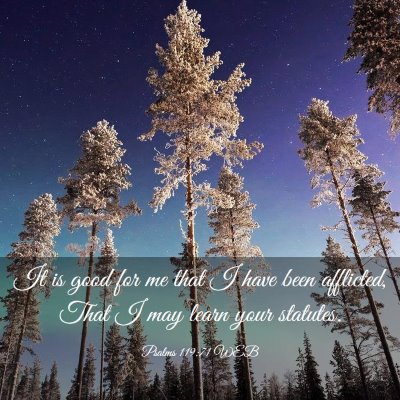 Picture 03 - Psalms 119:71 WEB - It is good for me that I have been afflicted, - Bible Verse Picture