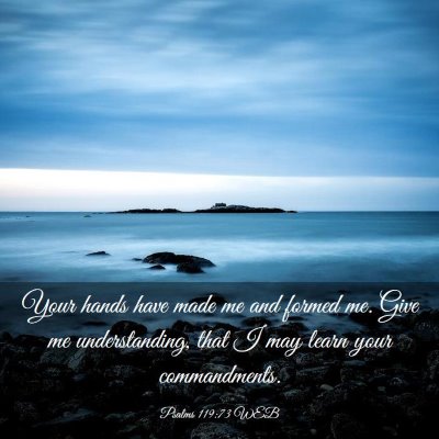 Picture 03 - Psalms 119:73 WEB - Your hands have made me and formed me. Give me - Bible Verse Picture