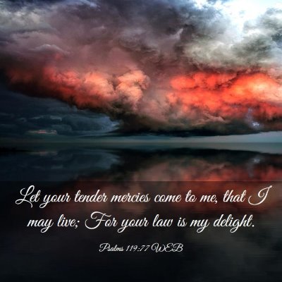 Picture 03 - Psalms 119:77 WEB - Let your tender mercies come to me, that I may - Bible Verse Picture
