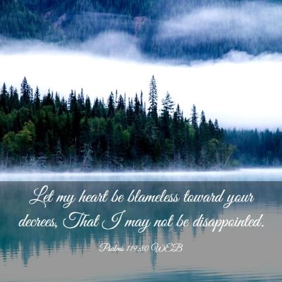 Picture 03 - Psalms 119:80 WEB - Let my heart be blameless toward your decrees, - Bible Verse Picture