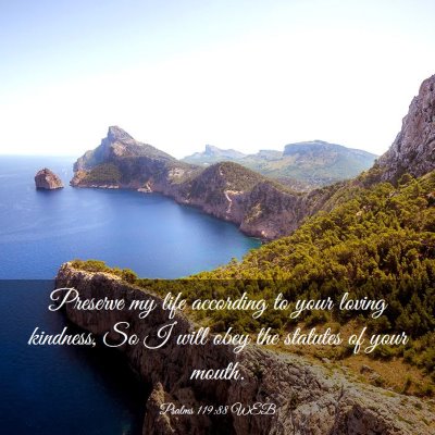 Picture 03 - Psalms 119:88 WEB - Preserve my life according to your loving - Bible Verse Picture