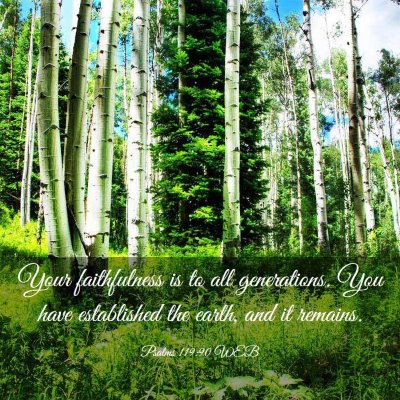 Picture 03 - Psalms 119:90 WEB - Your faithfulness is to all generations. You have - Bible Verse Picture
