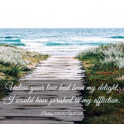 Picture 03 - Psalms 119:92 WEB - Unless your law had been my delight, I would have - Bible Verse Picture
