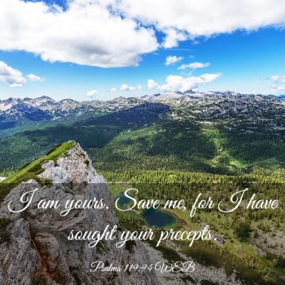 Picture 03 - Psalms 119:94 WEB - I am yours. Save me, for I have sought your - Bible Verse Picture