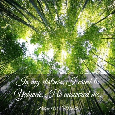 Picture 03 - Psalms 120:1 WEB - In my distress, I cried to Yahweh. He answered - Bible Verse Picture