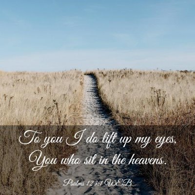 Picture 03 - Psalms 123:1 WEB - To you I do lift up my eyes, You who sit in the - Bible Verse Picture