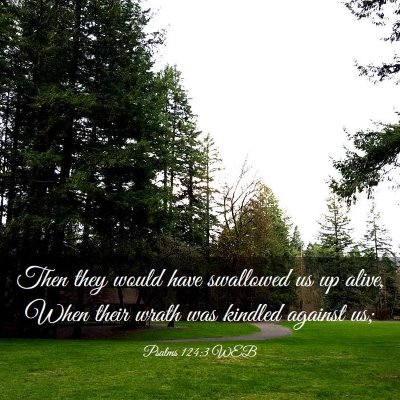 Picture 03 - Psalms 124:3 WEB - Then they would have swallowed us up alive, When - Bible Verse Picture