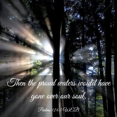 Picture 03 - Psalms 124:5 WEB - Then the proud waters would have gone over our - Bible Verse Picture