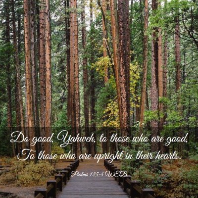 Picture 03 - Psalms 125:4 WEB - Do good, Yahweh, to those who are good, To those - Bible Verse Picture