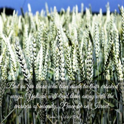Picture 03 - Psalms 125:5 WEB - But as for those who turn aside to their crooked - Bible Verse Picture
