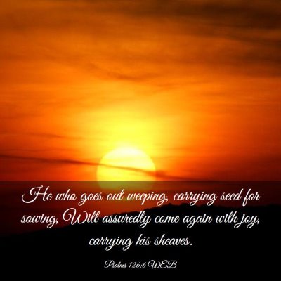 Picture 03 - Psalms 126:6 WEB - He who goes out weeping, carrying seed for - Bible Verse Picture