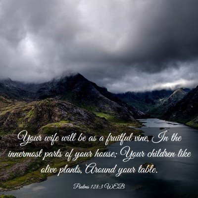 Picture 03 - Psalms 128:3 WEB - Your wife will be as a fruitful vine, In the - Bible Verse Picture