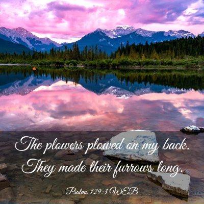 Picture 03 - Psalms 129:3 WEB - The plowers plowed on my back. They made their - Bible Verse Picture