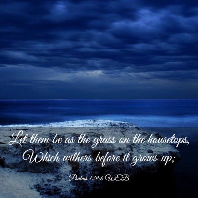 Picture 03 - Psalms 129:6 WEB - Let them be as the grass on the housetops, Which - Bible Verse Picture