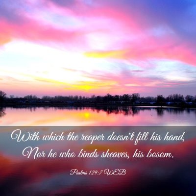 Picture 03 - Psalms 129:7 WEB - With which the reaper doesn't fill his hand, Nor - Bible Verse Picture