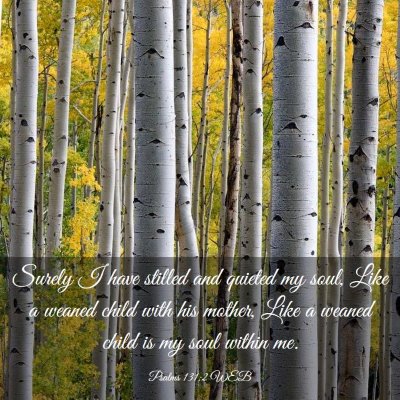 Picture 03 - Psalms 131:2 WEB - Surely I have stilled and quieted my soul, Like a - Bible Verse Picture