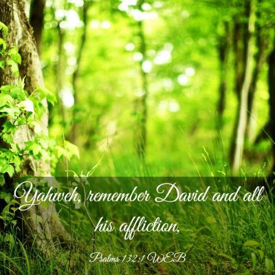 Picture 03 - Psalms 132:1 WEB - Yahweh, remember David and all his - Bible Verse Picture