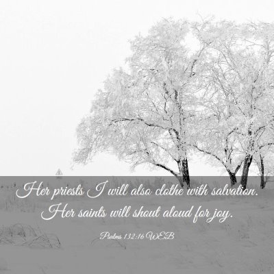 Picture 03 - Psalms 132:16 WEB - Her priests I will also clothe with salvation. - Bible Verse Picture