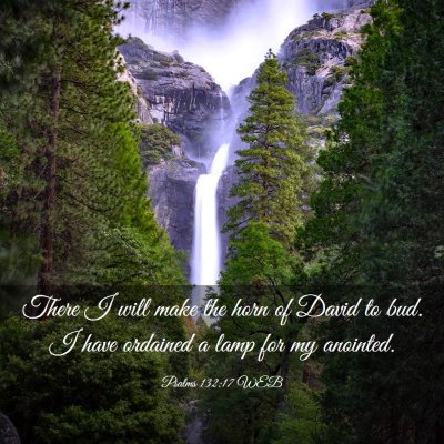 Picture 03 - Psalms 132:17 WEB - There I will make the horn of David to bud. I - Bible Verse Picture