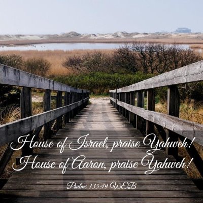 Picture 03 - Psalms 135:19 WEB - House of Israel, praise Yahweh! House of Aaron, - Bible Verse Picture