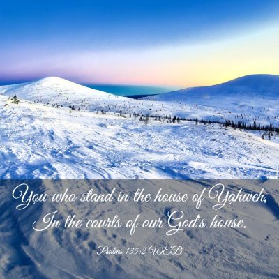 Picture 03 - Psalms 135:2 WEB - You who stand in the house of Yahweh, In the - Bible Verse Picture