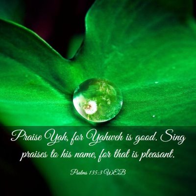 Picture 03 - Psalms 135:3 WEB - Praise Yah, for Yahweh is good. Sing praises to - Bible Verse Picture